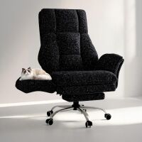 Wildon Home Big and Tall Office Chair, Flip Armrests for Pets & Cross Legged Sitting, Executive Ergonomic Computer Gaming Chair with Foot Rest, Gliter Fabric Wide Seat Reclining Desk Chair New Open Box $699
