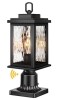 VIANIS Black Hardwired LED Dusk to Dawn Outdoor Pier-mounted Light New In Box $199