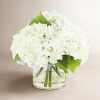 Canora Grey Moreell 12" Artificial Peony Floral Arrangement In Clear Glass Vase With Realistic Acrylic Water / Zipcode Design&trade; Faux Hydrangea Arrangement in Vase New Assorted $199 - 2