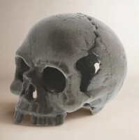 The Holiday Aisle&reg; Samara Fantasy & Sci-Fi Skull New In Box $199