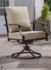 Lark Manor Jacenia 23.4"W Outdoor Swivel Rocking Iron Armchair with High Back and Water Resistant Cushions New in Box $499