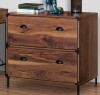 AGHDECO Orman 2-Drawer Wood Lateral Filing Cabinet in Walnut $499
