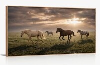 August Grove&reg; Horse Sunset Canvas Wall Art, 23.5" x 46.5" New In Box $199