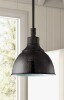 Sand & Stable&trade; Miramar 1 - Light Single Pendant New In Box $299