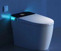 WEUP Smart Toilet With Heated Seat & Auto Flushing, Slow Close, Night Light, Remote Control, Water-Saving Siphon Dual Flush, Emergency Flush, Smart Toilet new in box $999