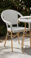 Bay Isle Home Altesa Boho Style Round Rattan Indoor/Outdoor Bistro Chair Black/White New in Box $399