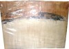 Union Rustic "Ojar" Canvas, 30" x 40" New In Box $299 - 2