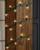 Home Accents Holiday 300 Count Warm White Steady Lit Super-Bright Mini LED Lights New In Box