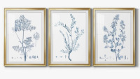 Canora Grey Antique Botanical in Blue VI -Custom Framed Premium Print W Matt - 3 Pieces, 21" H x 30" W, New In Box $299