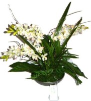 Distinctive Designs White Cymbidium Orchid Artificial Floral Arrangement Plant in Brown Pot New $199