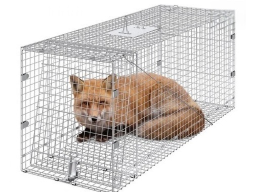 VEVOR Live Animal Cage Trap, 42" x 16" x 18" Humane Cat Trap Galvanized Iron, Folding Animal Trap with Handle for Stray Dogs, Armadillos, Raccoons, Marmots, Foxes New in Box $299