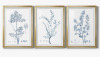 Canora Grey Antique Botanical in Blue VI -Custom Framed Premium Print W Matt - 3 Pieces, 21" H x 30" W, New In Box $299