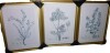 Canora Grey Antique Botanical in Blue VI -Custom Framed Premium Print W Matt - 3 Pieces, 21" H x 30" W, New In Box $299 - 2