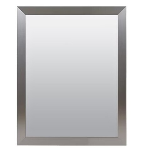 Zenna Professional 29.75-in W x 35.75-in H Rectangle Brushed Nickel Framed Framed Wall Mirror New In Box $299