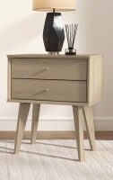 Wade Logan&reg; Branquinha 22" H Mid Century 2 Drawer Nightstand $299