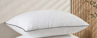 Alwyn Home Goose Down, Feather Blend Support Pillow with 100% soft Cotton Cover, King / Sealy Dreamlife Extra Firm Support Foam Core Pillow Standard/Queen Size Assorted $79