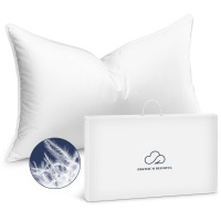 Alwyn Home Luxury High-End 100% Natural Goose Down Standard Size Pillow / Laura Ashley Charlotte White Cotton Quilted Throw Pillow / Assorted $79