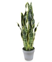TriangePlant Artificial Snake Plant Faux Sansevieria 26 Inch Feaux Plastic Greenery Agave Potted Plants for Home Office Garden Decoration New In Box $89.99