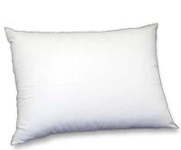 Careline Standard Size Pillow New